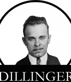 cropped-logoidillinger